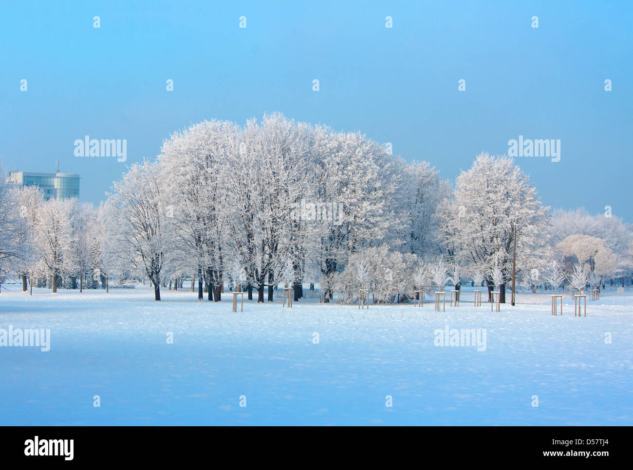 Beau paysage d'hiver Banque D'Images