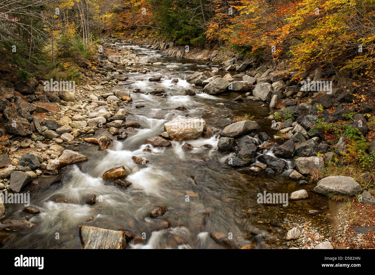 Ruisseau de montagne à l'automne, Banque D'Images