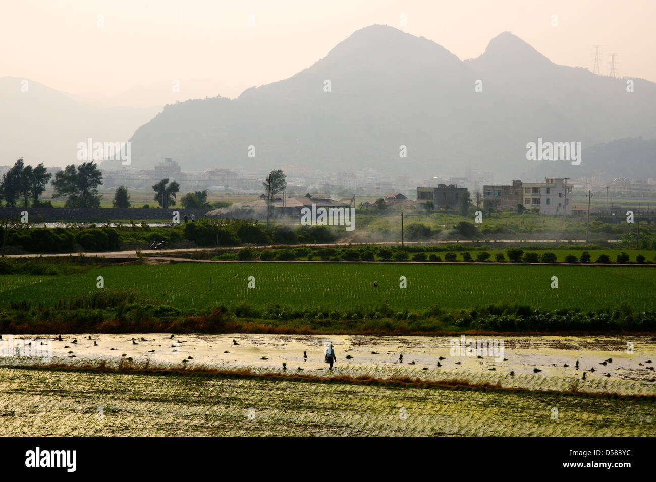 Mélanges en milieu rural comme en milieu urbain le long de la route des fermes de fusionner avec des logements résidentiels. L'Est de la Chine. Banque D'Images