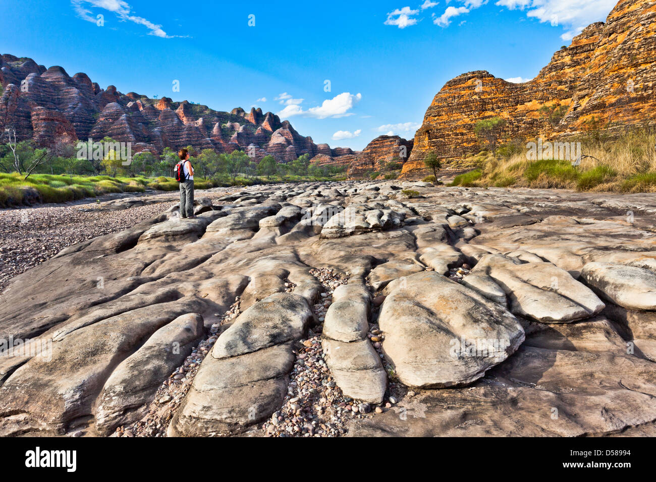 En forme de ruche et les dômes de grès de la rivière à sec de Piccaninny Creek à l'Bungle Bungle Purnululu National Park Banque D'Images