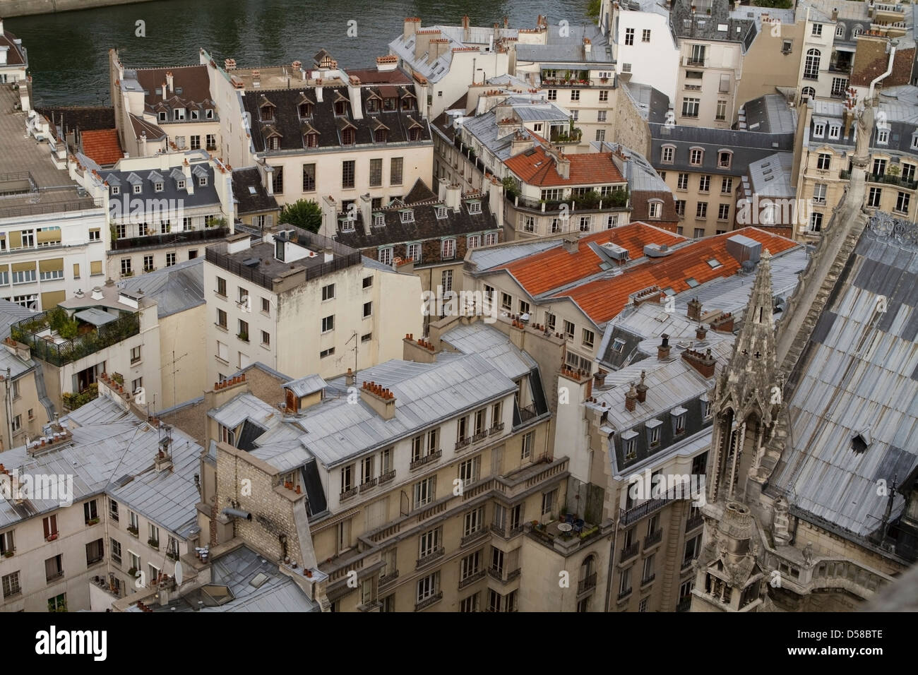 Vue sur les toits de Paris à partir de la Cathédrale Notre Dame, Paris Banque D'Images