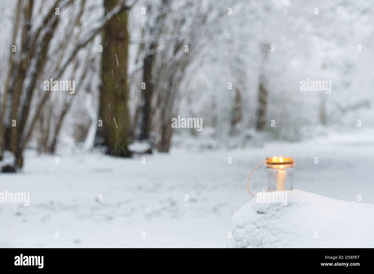 Bougie de Noël dans un bocal en verre dans un bois couvert de neige Banque D'Images