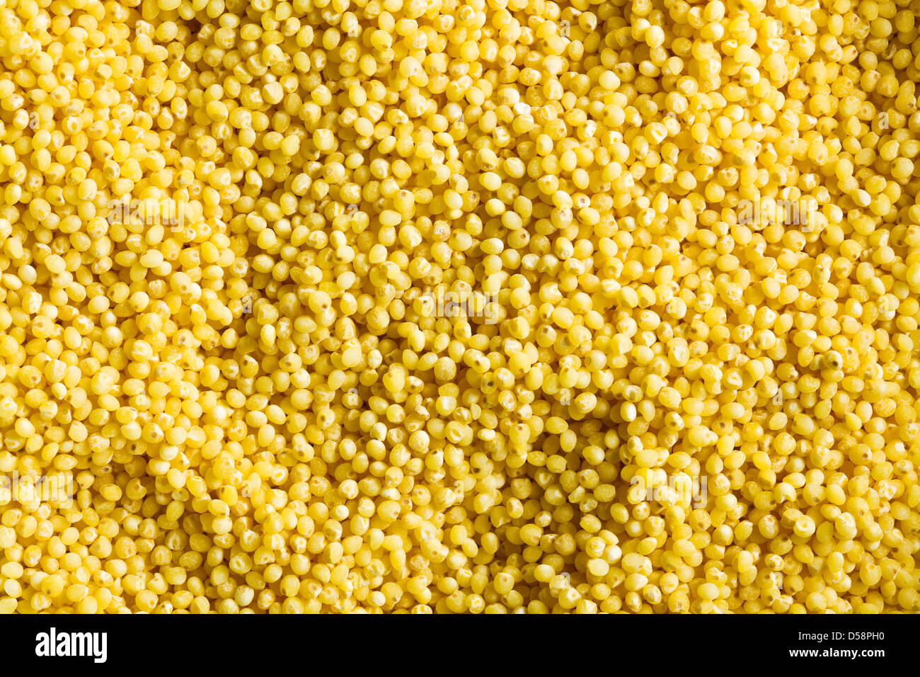 La texture du millet jaune Banque D'Images
