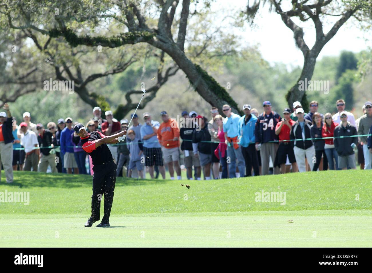 Tiger Woods (USA), le 25 mars 2013 - Golf : Tiger Woods de l'United States hits son troisième tir sur le 12e trou lors de la ronde finale de l'Arnold Palmer Invitational au Bay Hill Club and Lodge dans la région de Bay Hill, près d'Orlando, Florida, United States. (Photo par Yasuhiro JJ Tanabe/AFLO) Banque D'Images