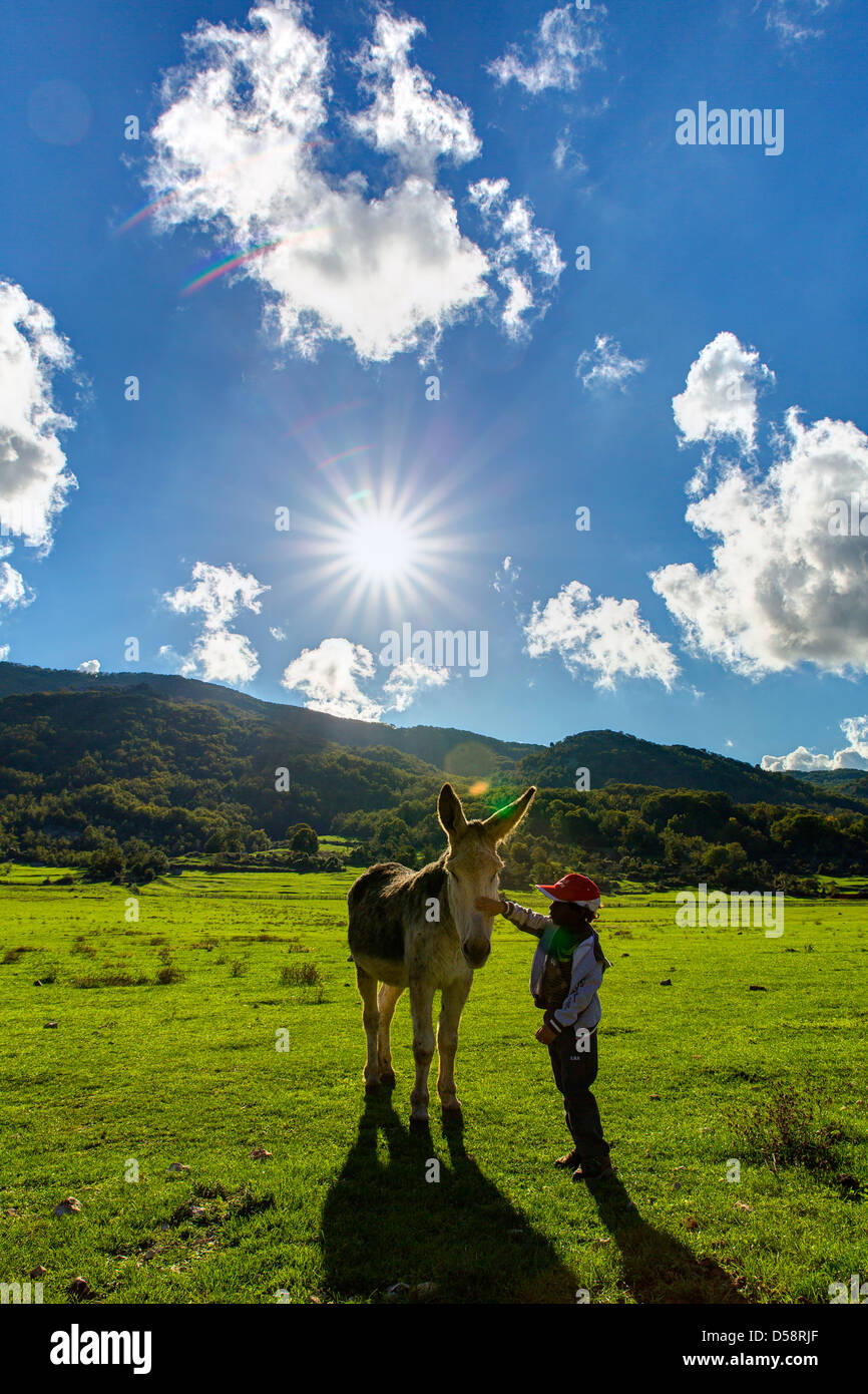 Garçon de flatter un âne dans un champ ouvert Banque D'Images