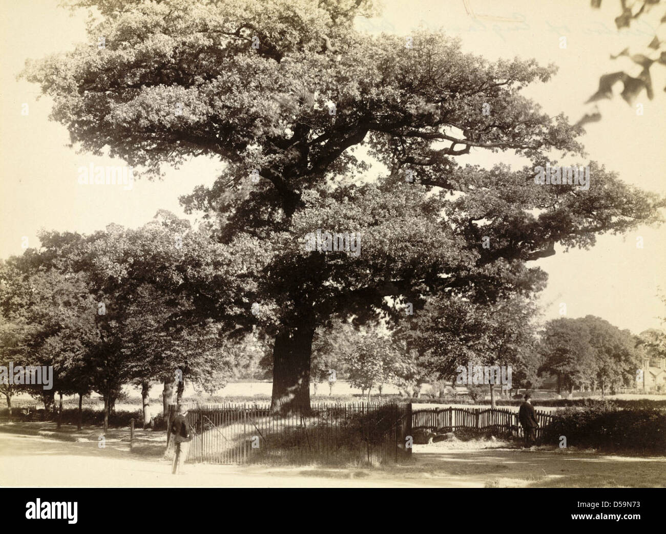Paysage Midlands Banque D'Images