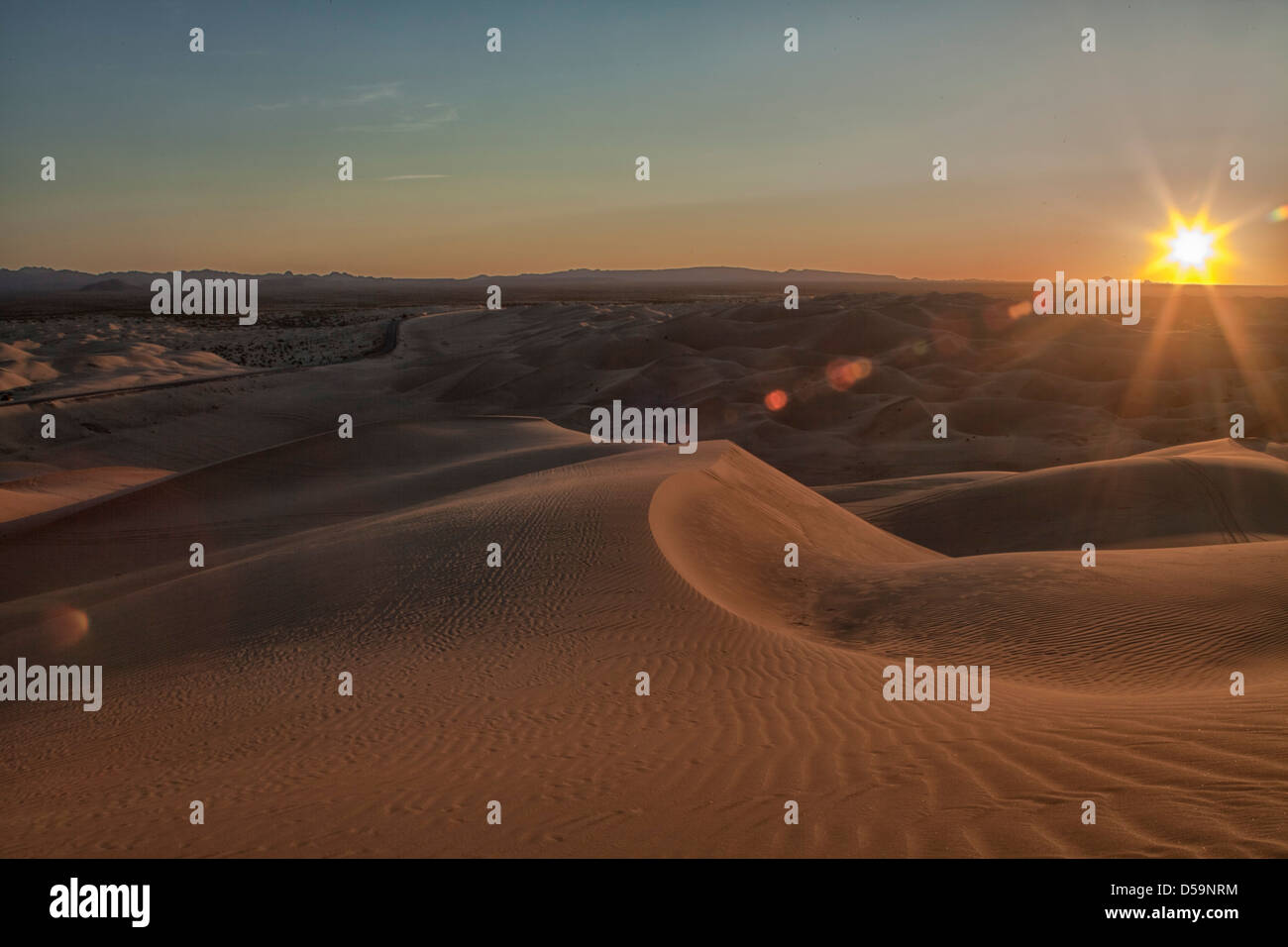 Imperial Sand Dunes, sur la frontière mexicaine Arizona Californie au lever du soleil, un paysage de sable au lever du soleil. Banque D'Images