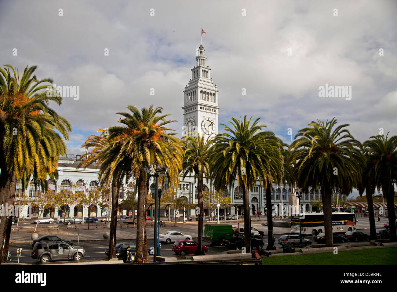 Palmiers, de l'Embarcadero et tour Ferry Building, San Francisco, Californie, États-Unis d'Amérique, USA Banque D'Images