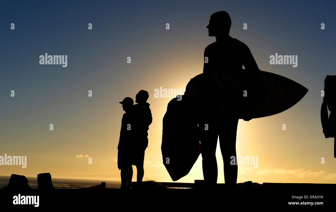 Surfer sur une plage dans le parc national de Table Mountain, péninsule du Cap, Afrique du Sud Banque D'Images