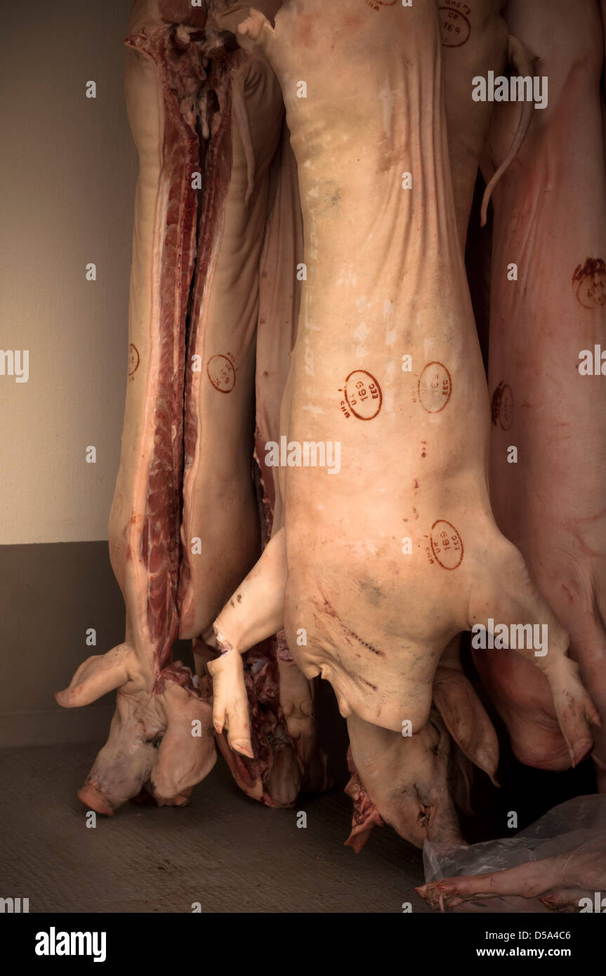 Des carcasses de porcs charcutiers en van de livraison Banque D'Images