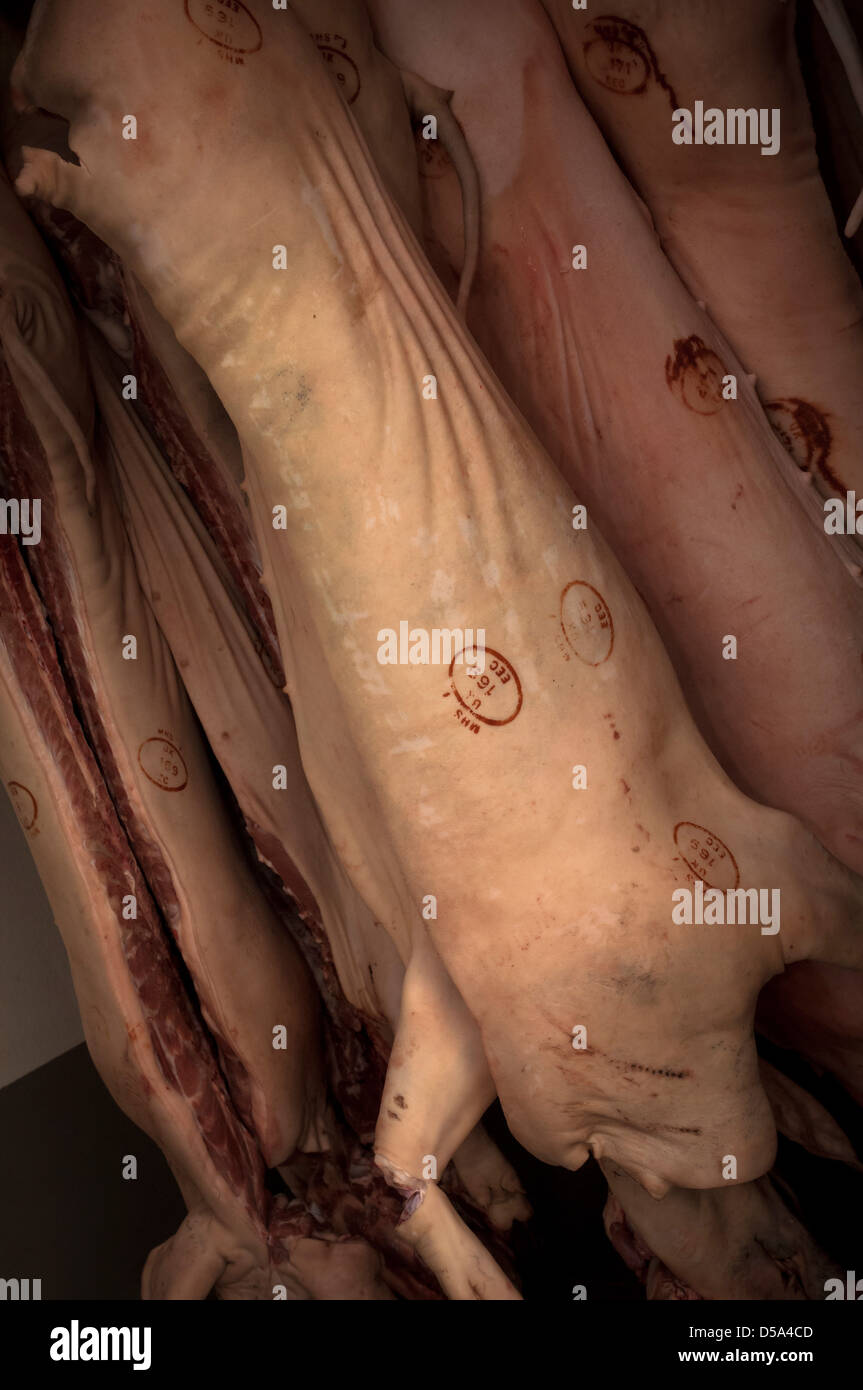 Des carcasses de porcs charcutiers en van de livraison Banque D'Images