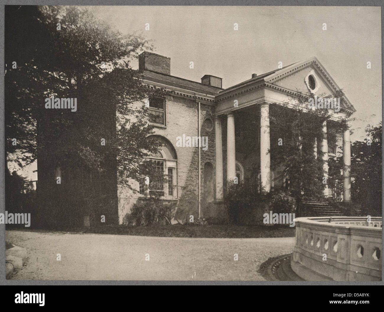 Les Woodlands Banque D'Images