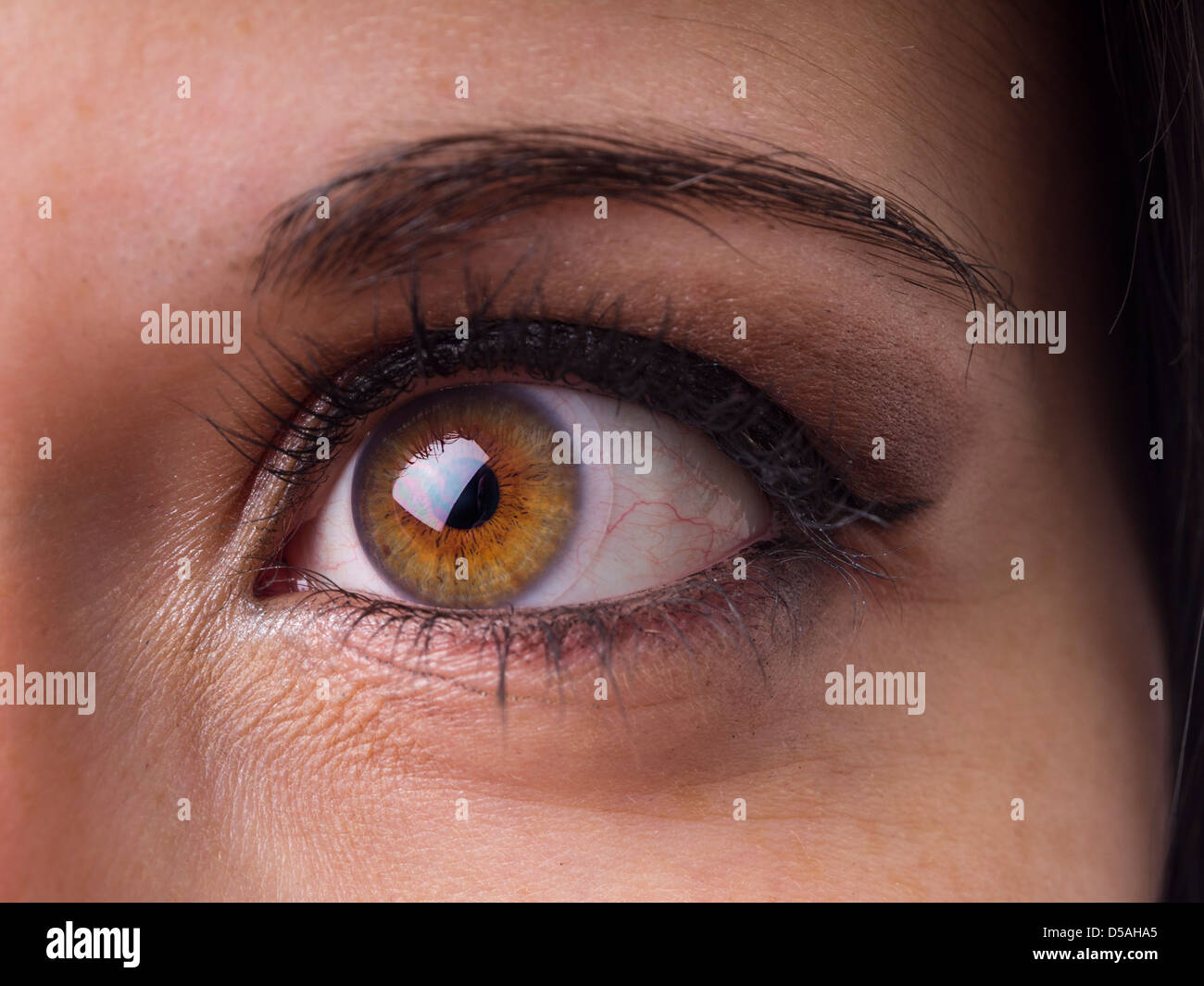 Close up of green et brown eye femelle avec visible de lentilles de contact Banque D'Images