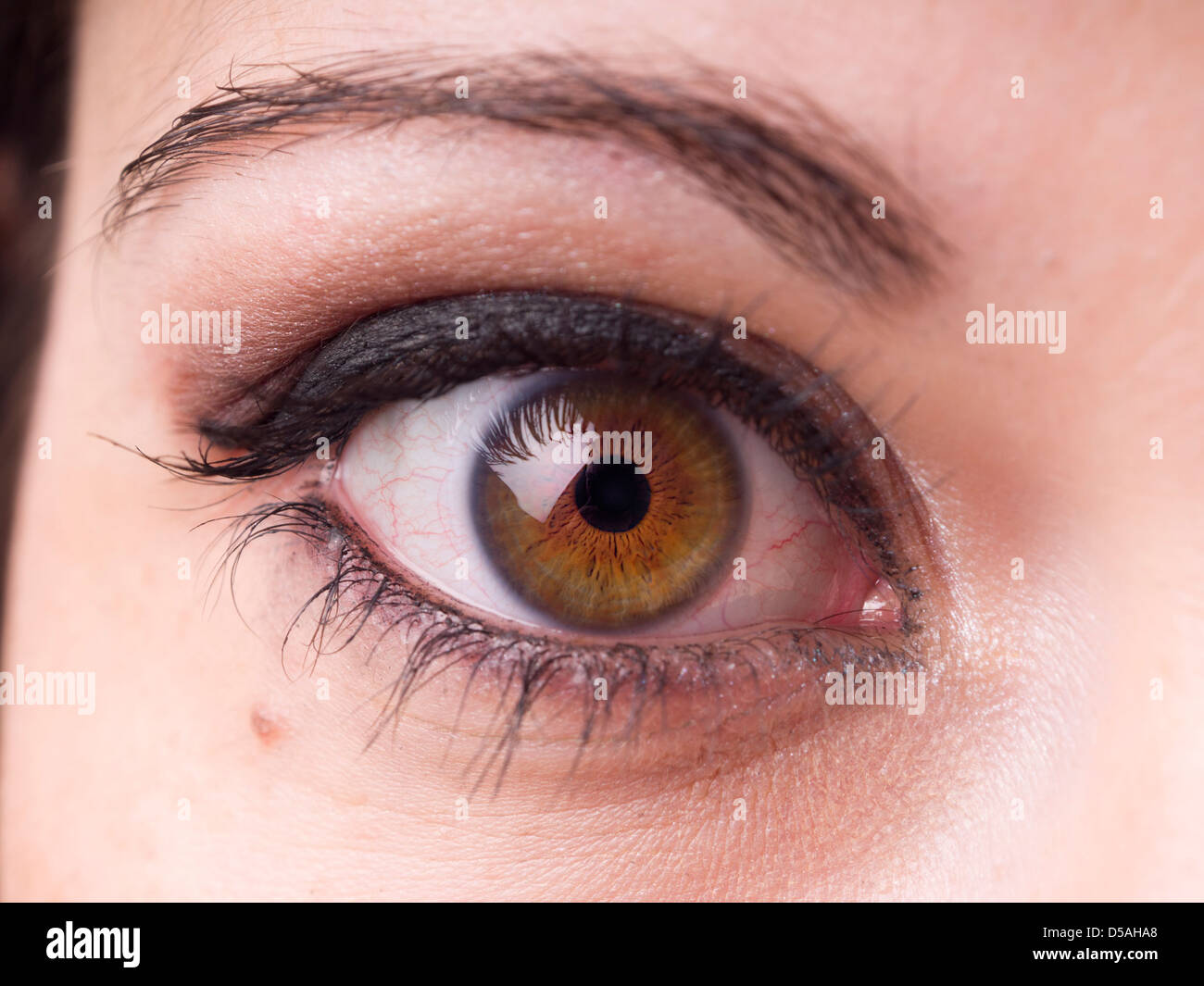 Close up de vert et brun avec des yeux féminins composent sur Banque D'Images