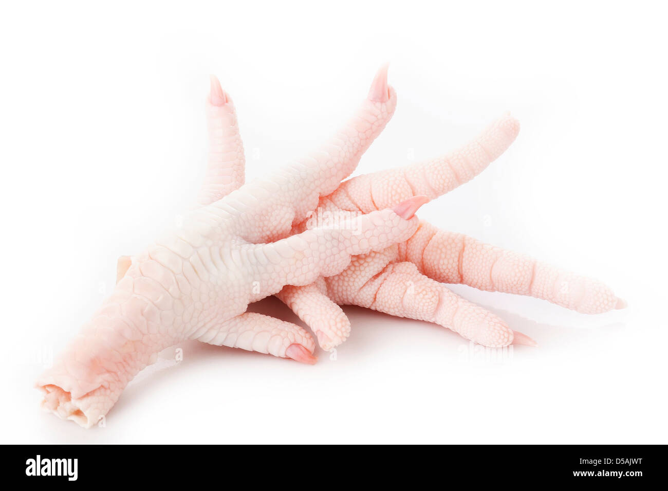 Pieds de poulet sur fond blanc Banque D'Images