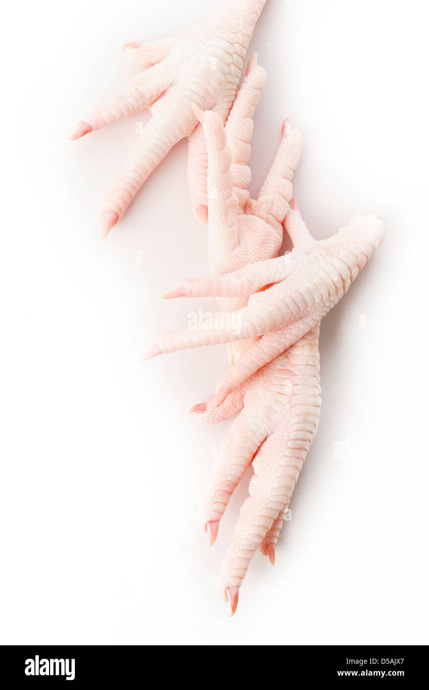 Pieds de poulet sur fond blanc Banque D'Images