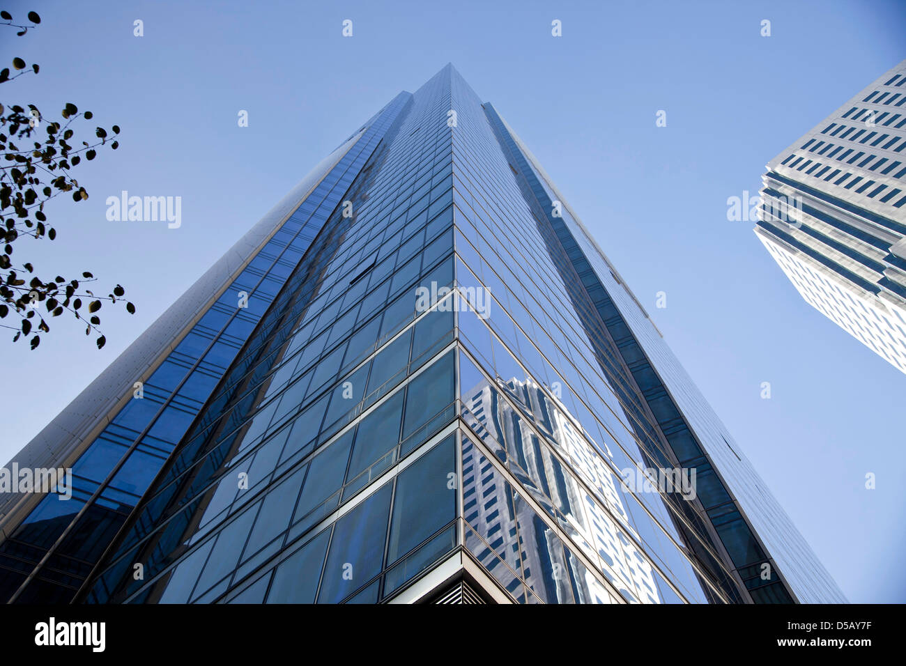 Gratte-ciel de San Francisco Financial District, San Francisco, Californie, États-Unis d'Amérique, USA Banque D'Images