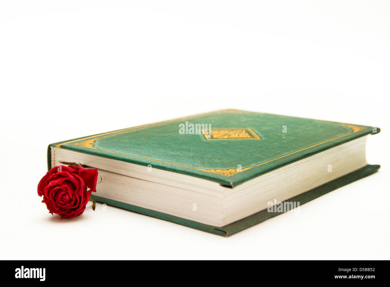 Rose rouge en étroite livre isolé sur fond blanc Banque D'Images