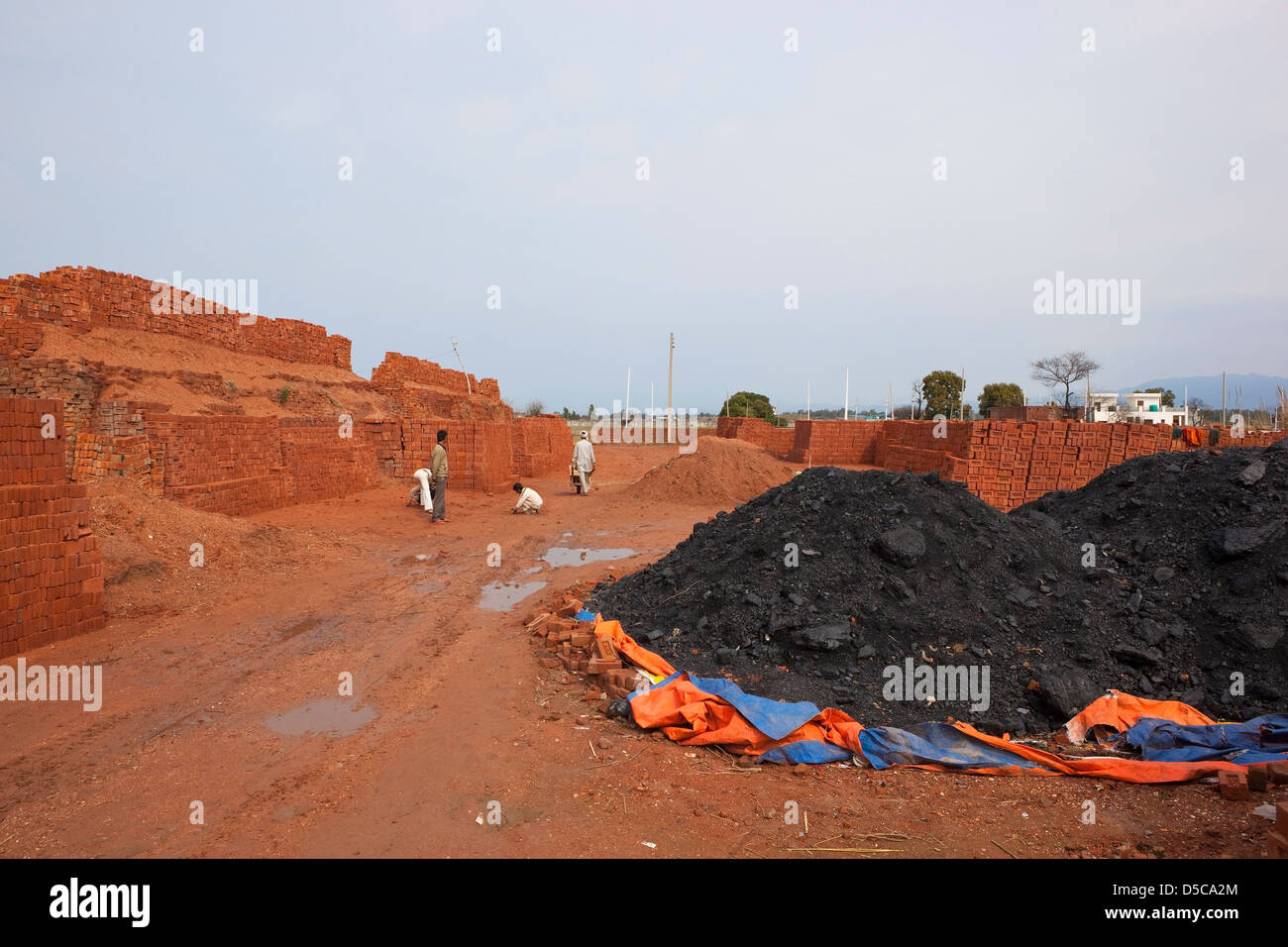 Un groupe de travailleurs avec brickyard entouré par ceux des briques et un stock important de carburant pour charbon Banque D'Images