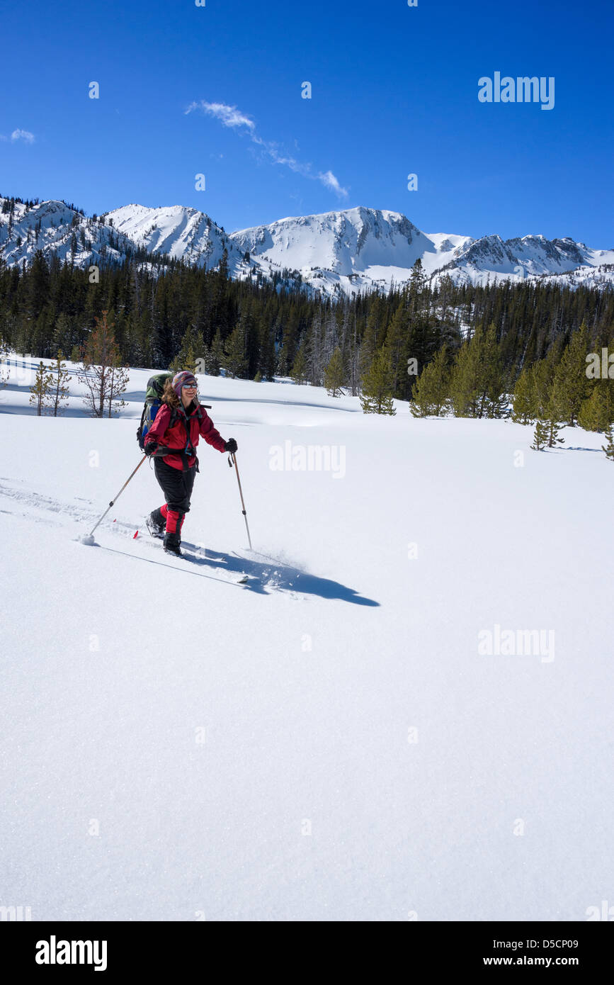 Le ski dans les montagnes Wallowa anéroïde, du bassin, de l'Oregon. Banque D'Images