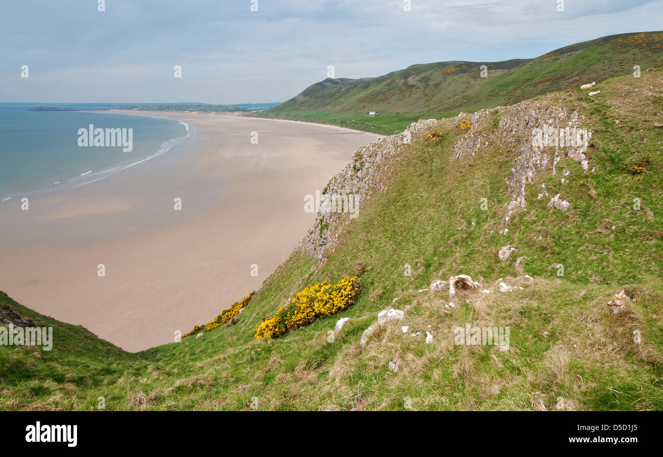 Pays de Galles, la péninsule de Gower, Rhossili Bay, plage, falaises, les moutons Banque D'Images