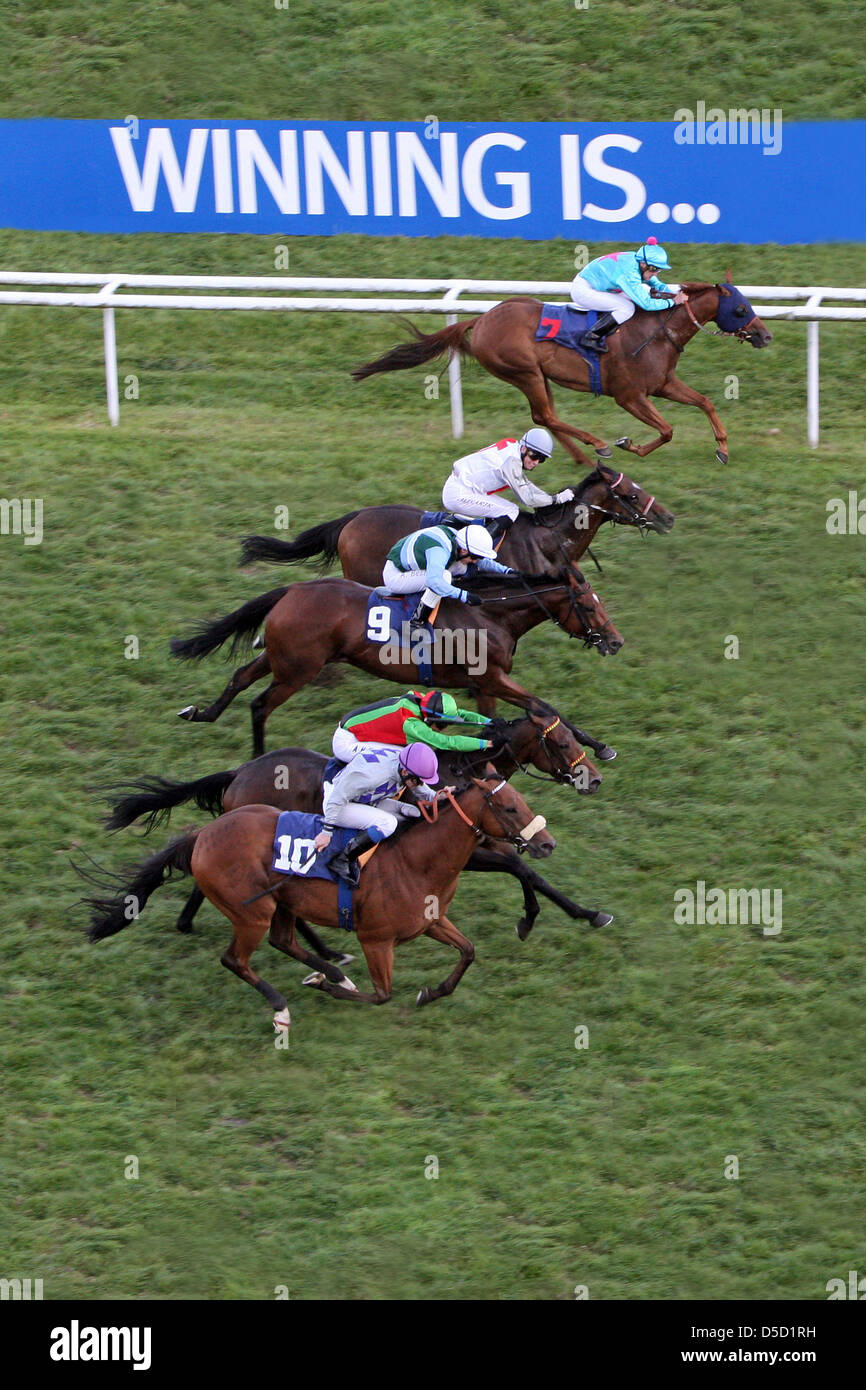 Iffezheim, Allemagne, vue aérienne, palpitant terminer dans la course de chevaux Banque D'Images