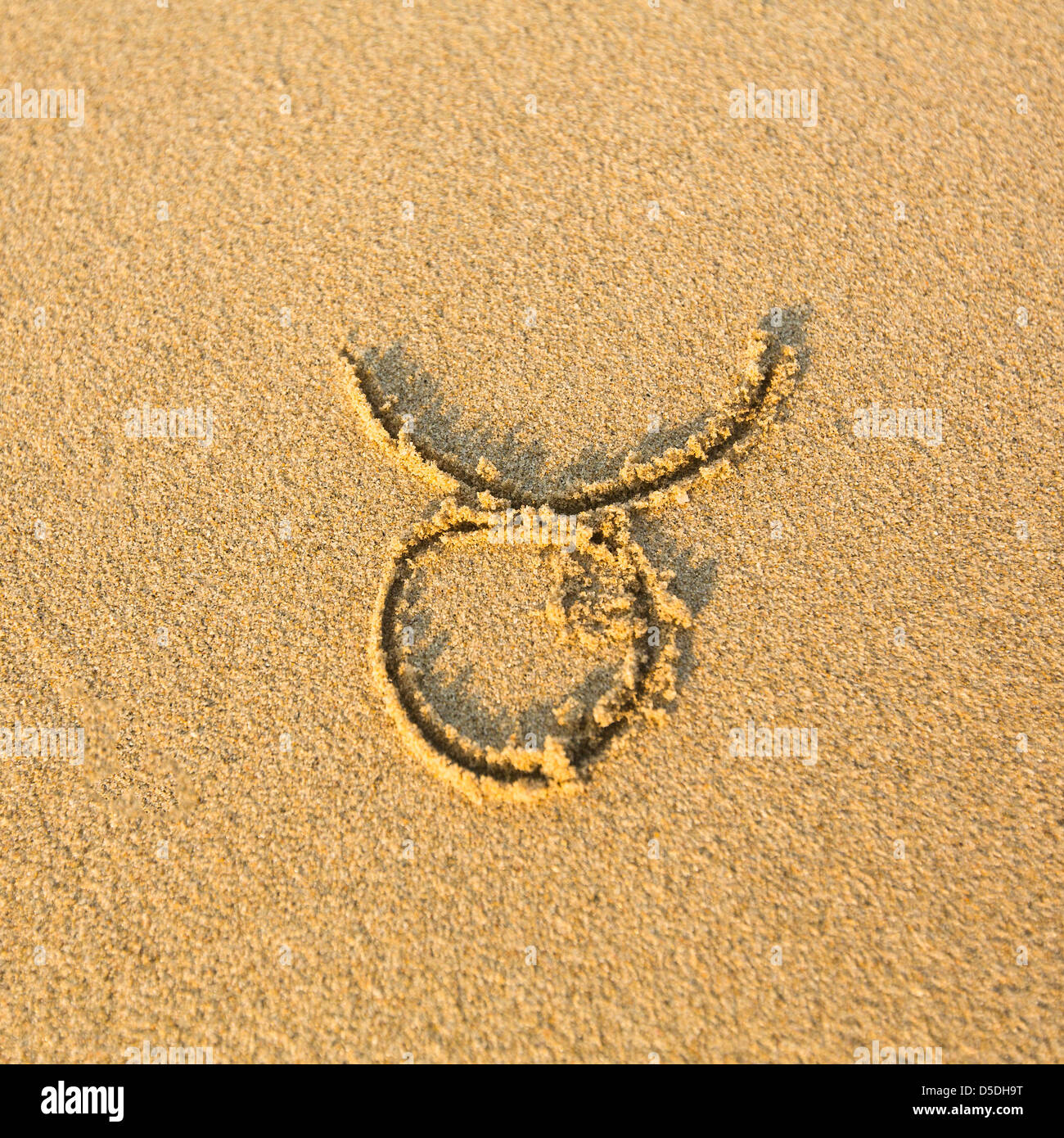 Signe astrologique Taureau, dessiné sur la facture, le sable de la plage. Les signes du zodiaque (série) Banque D'Images