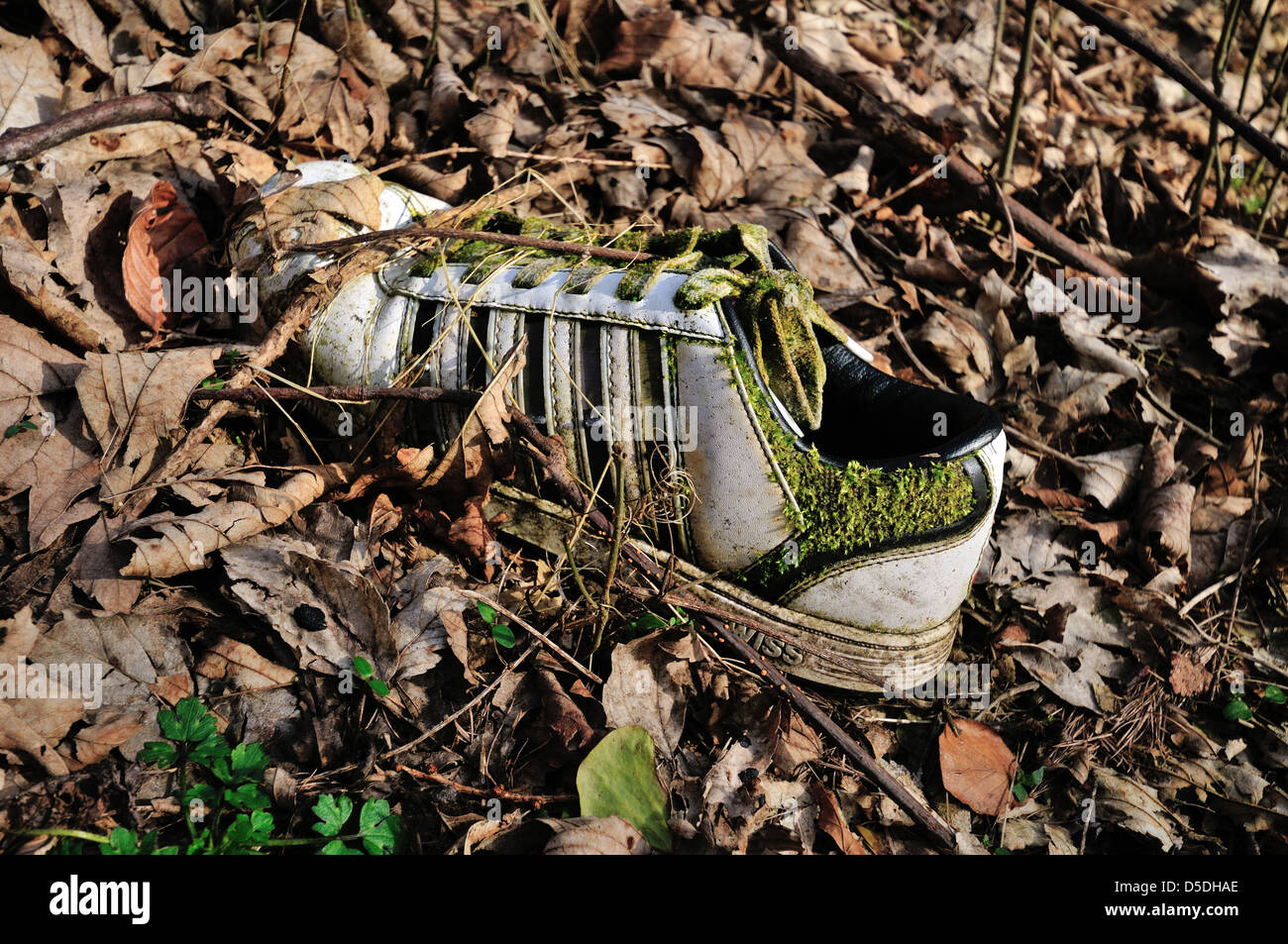 Chaussures d'entraînement perdu dans un bois et d'être envahis par la nature lentement Banque D'Images