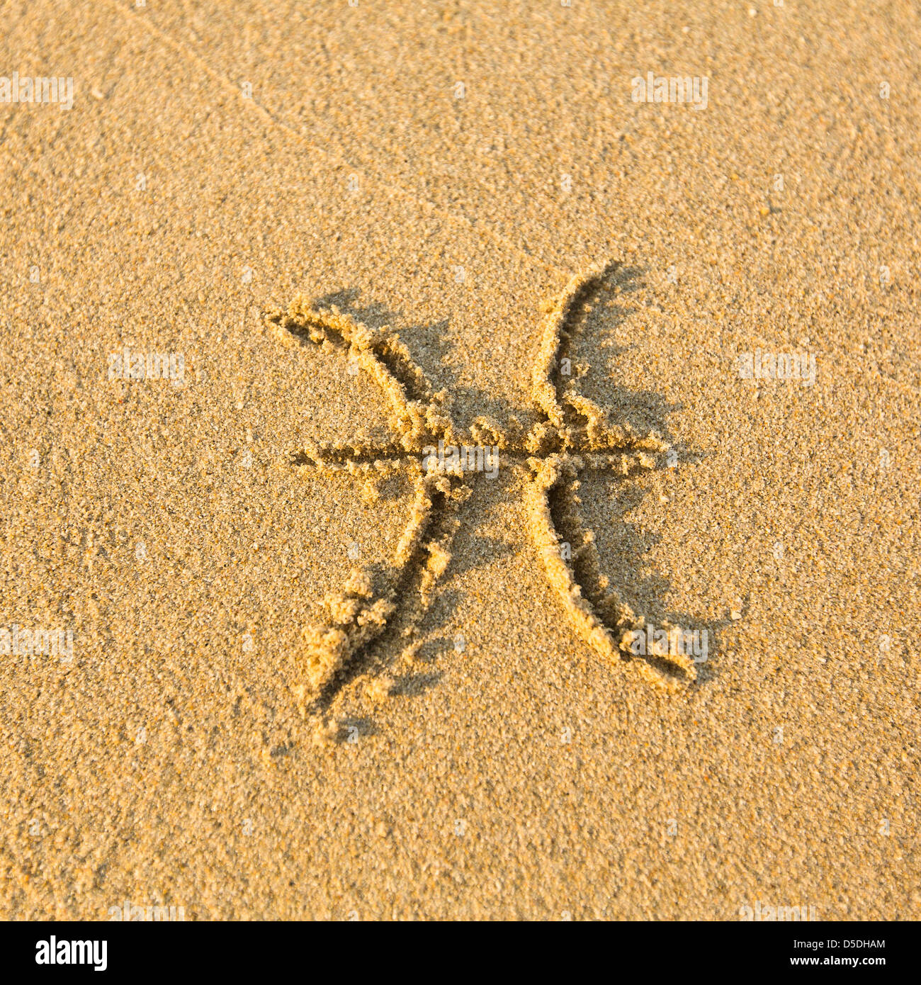 Signe astrologique Poissons, dessiné sur la facture, le sable de la plage. Les signes du zodiaque (série) Banque D'Images
