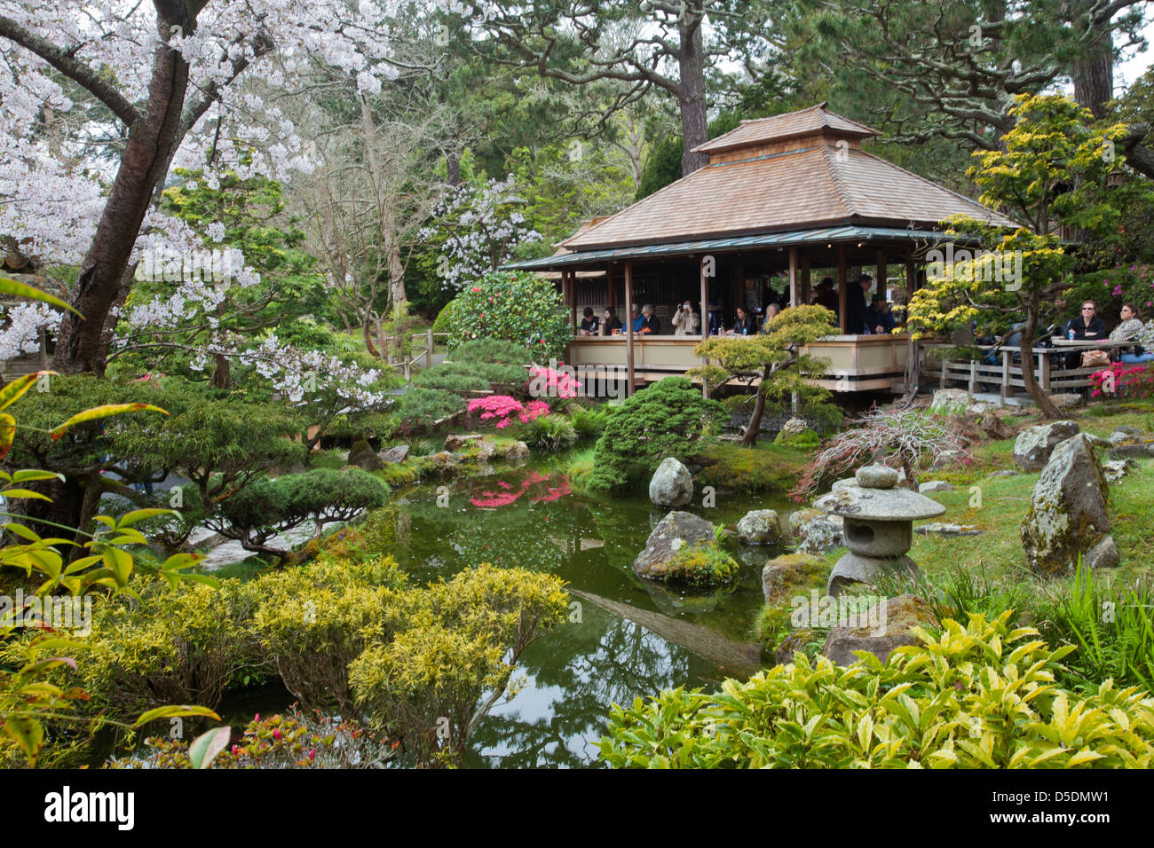 Makoto Hagiwara, a conçu le jardin de thé japonais dans le Golden Gate Park, où il a maintenu comme un jardinier. Banque D'Images