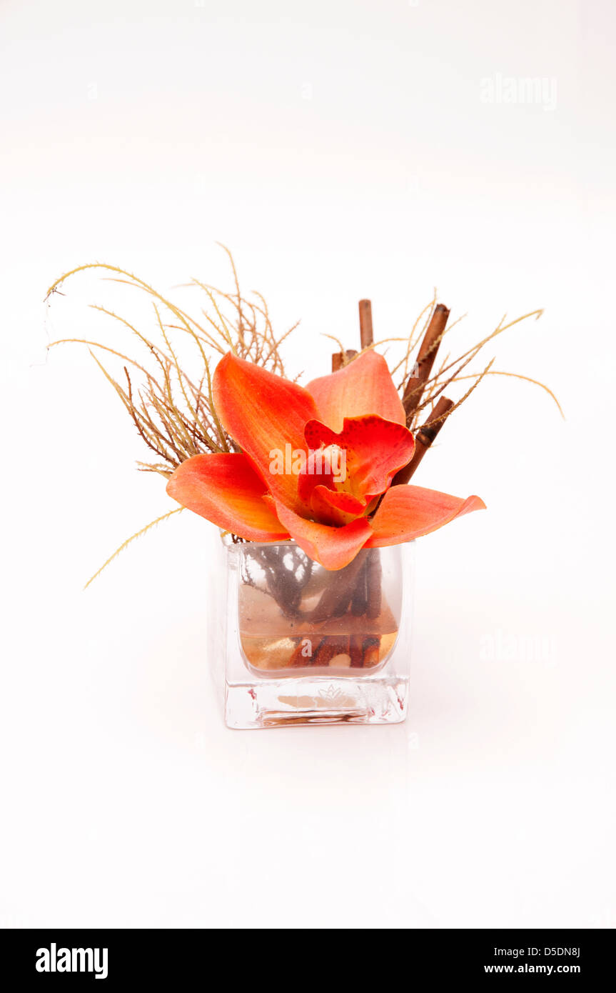 Vase avec une fleur orange design Banque D'Images