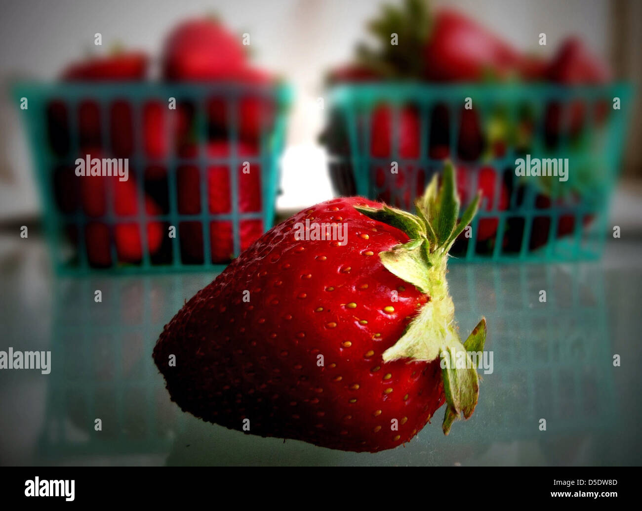 29 mars 2013 - Los Angeles, Californie, États-Unis - marché des producteurs de fraises fraîches et de Oxnard, California Fruit Farm (crédit Image : © Jonathan Alcorn/ZUMAPRESS.com) Banque D'Images