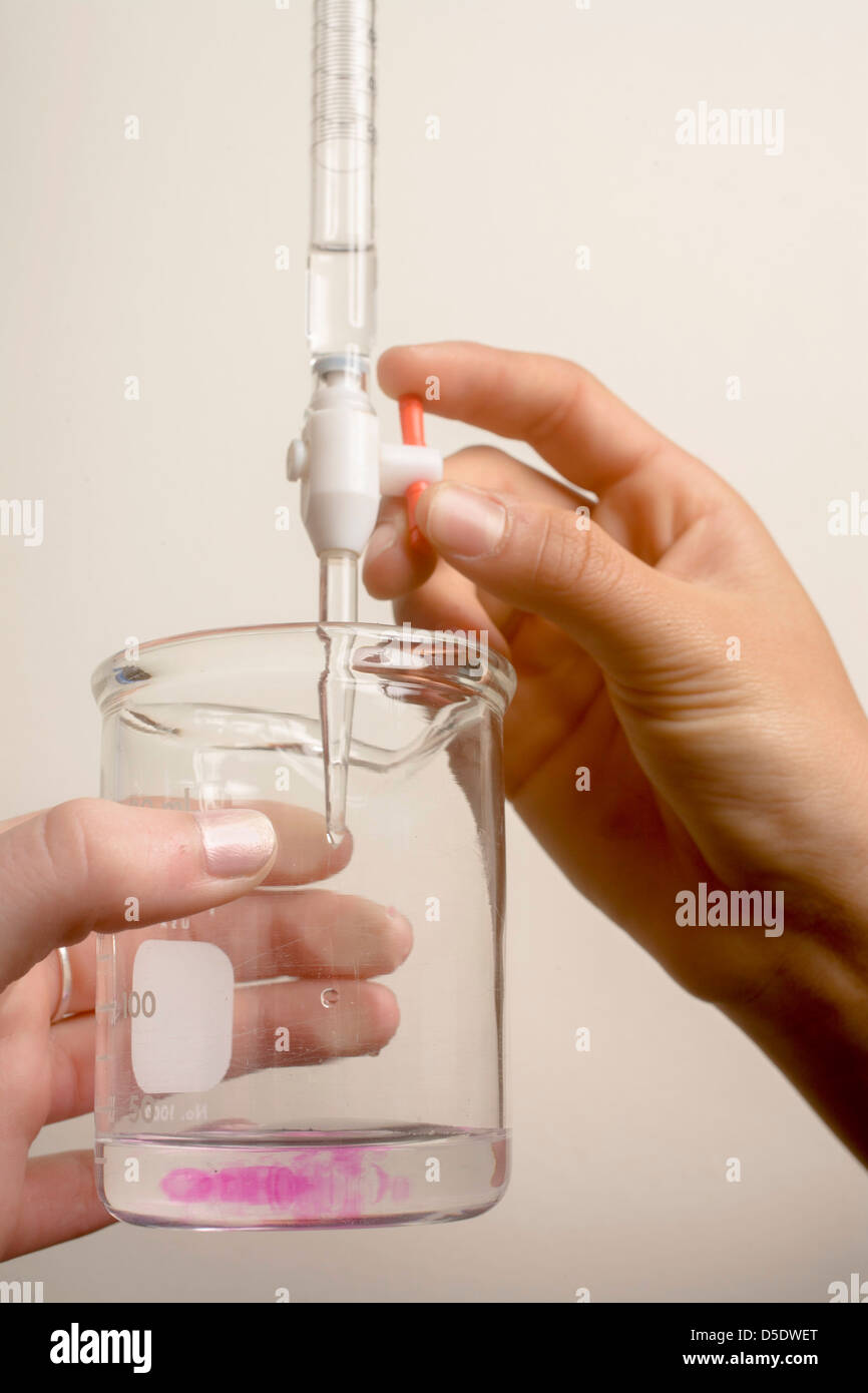 Une pipette les gouttes de vinaigre ordinaire (acide) dans un récipient contenant un volume précis d'hydroxyde de sodium (base) pour montrer le titrage Banque D'Images