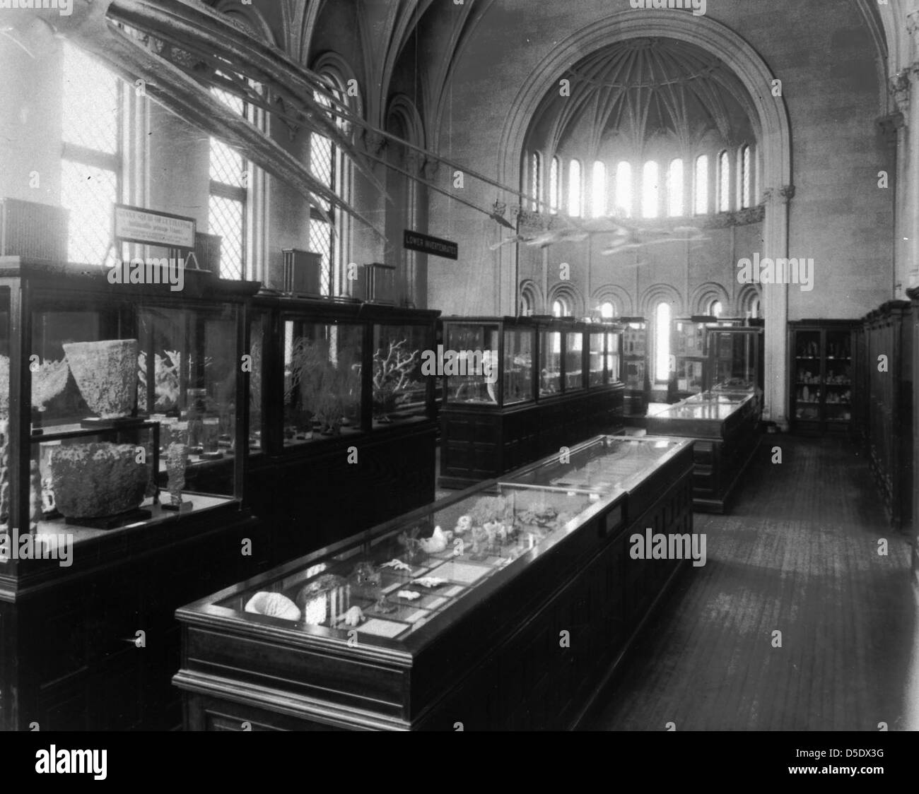Cette photographie montre l’aile ouest du Smithsonian institution Building, datant d’environ 1903. Il souligne l'importance historique et la conception architecturale du bâtiment. Banque D'Images