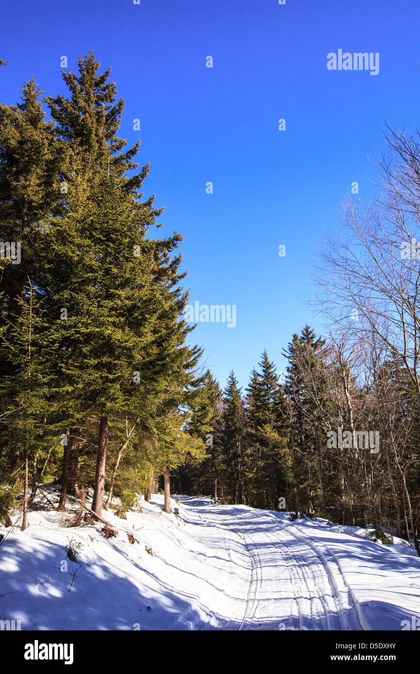 Une route à travers la forêt dans la neige de printemps. Snowshoe, Virginie-Occidentale Banque D'Images