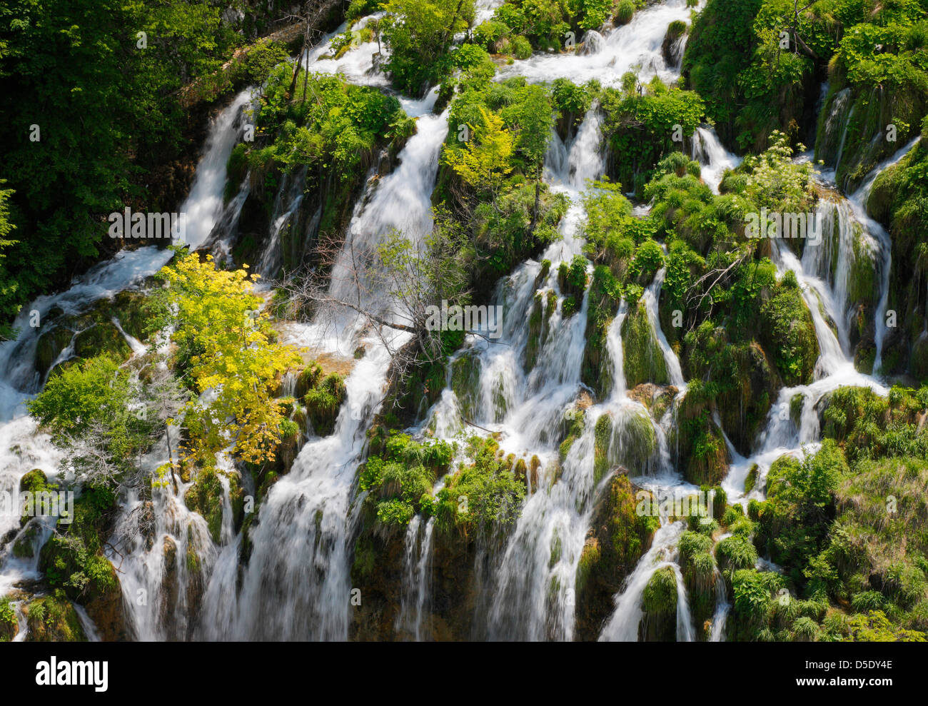 Les lacs de Plitvice, les chutes d'eau Banque D'Images