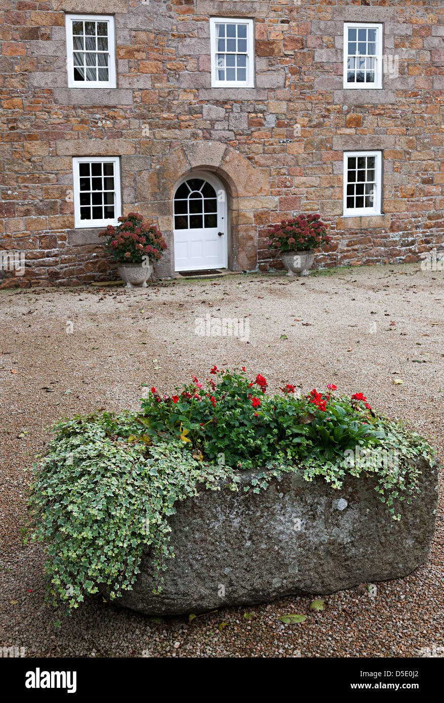 Fleurs en croissance dans l'auge en pierre, maison de l'extérieur, Jersey, Channel Islands, Royaume-Uni Banque D'Images