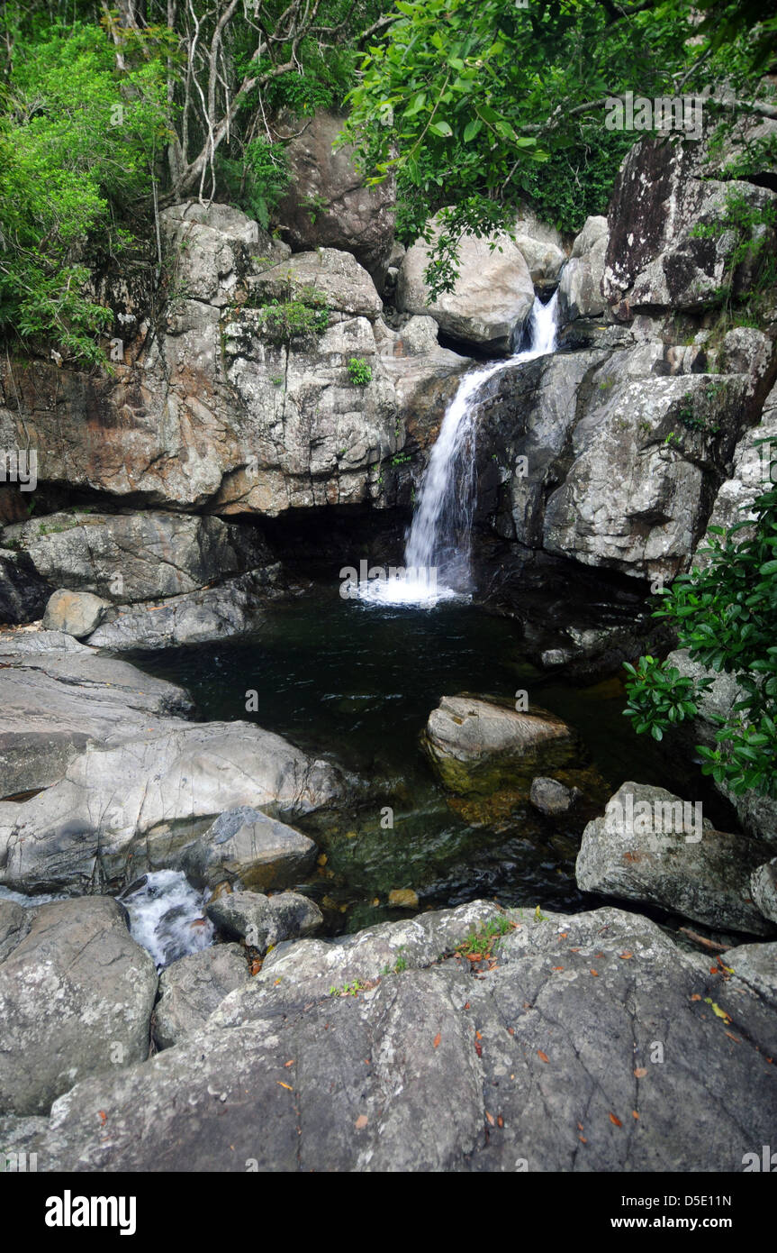 Sur la petite cascade Crystal Creek, Paluma Range National Park, au nord de Townsville, Queensland, Australie Banque D'Images