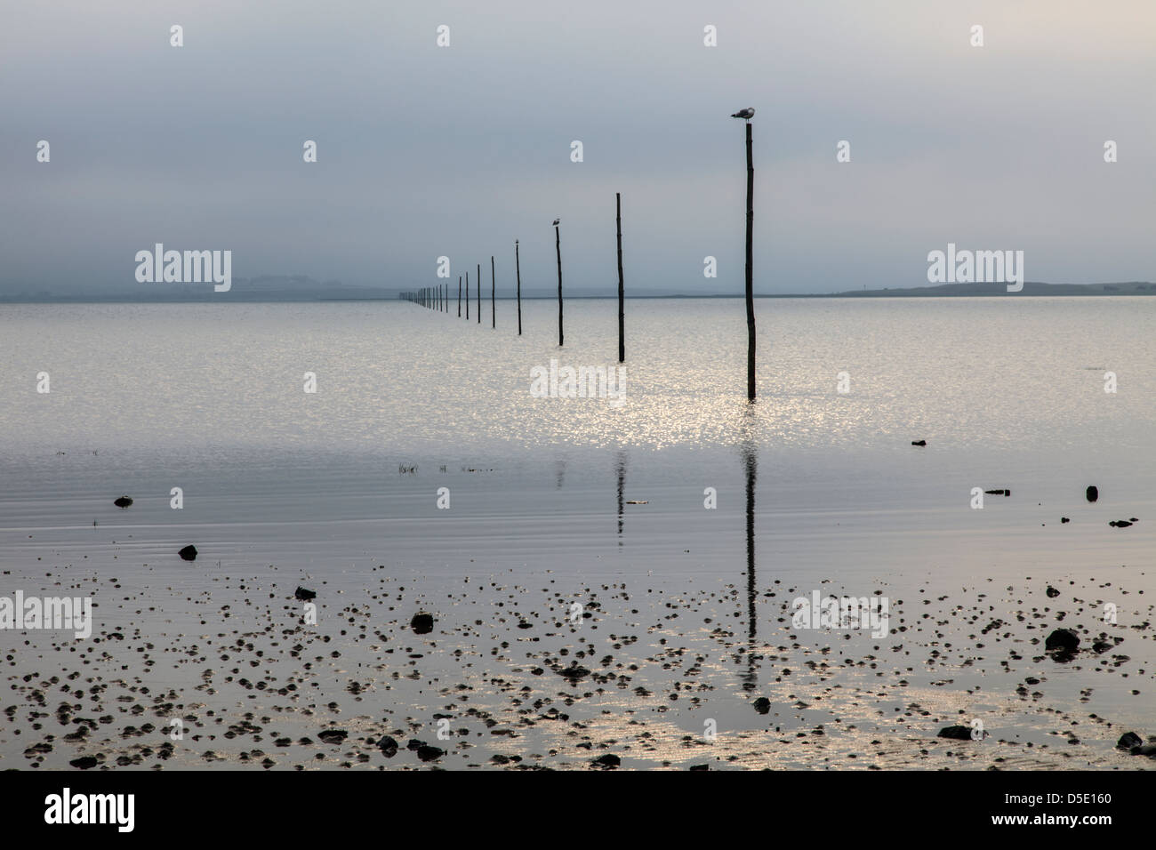 Les posts qui montrent la route vers Sainte dans le Northumberland Lindisfarne Banque D'Images