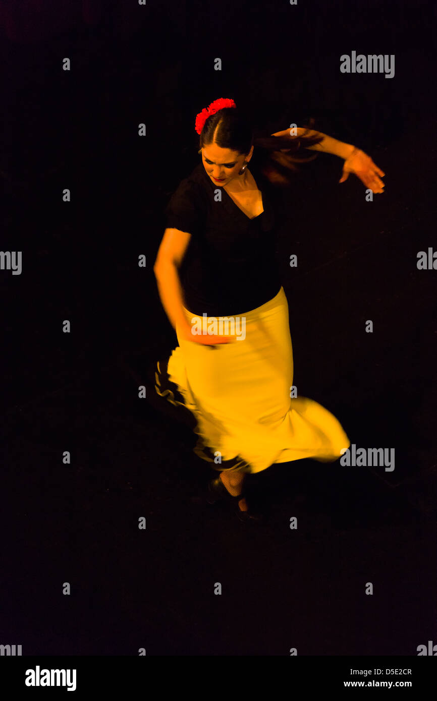 Flamingo danseur, San Miguel de Allende, Mexique Banque D'Images