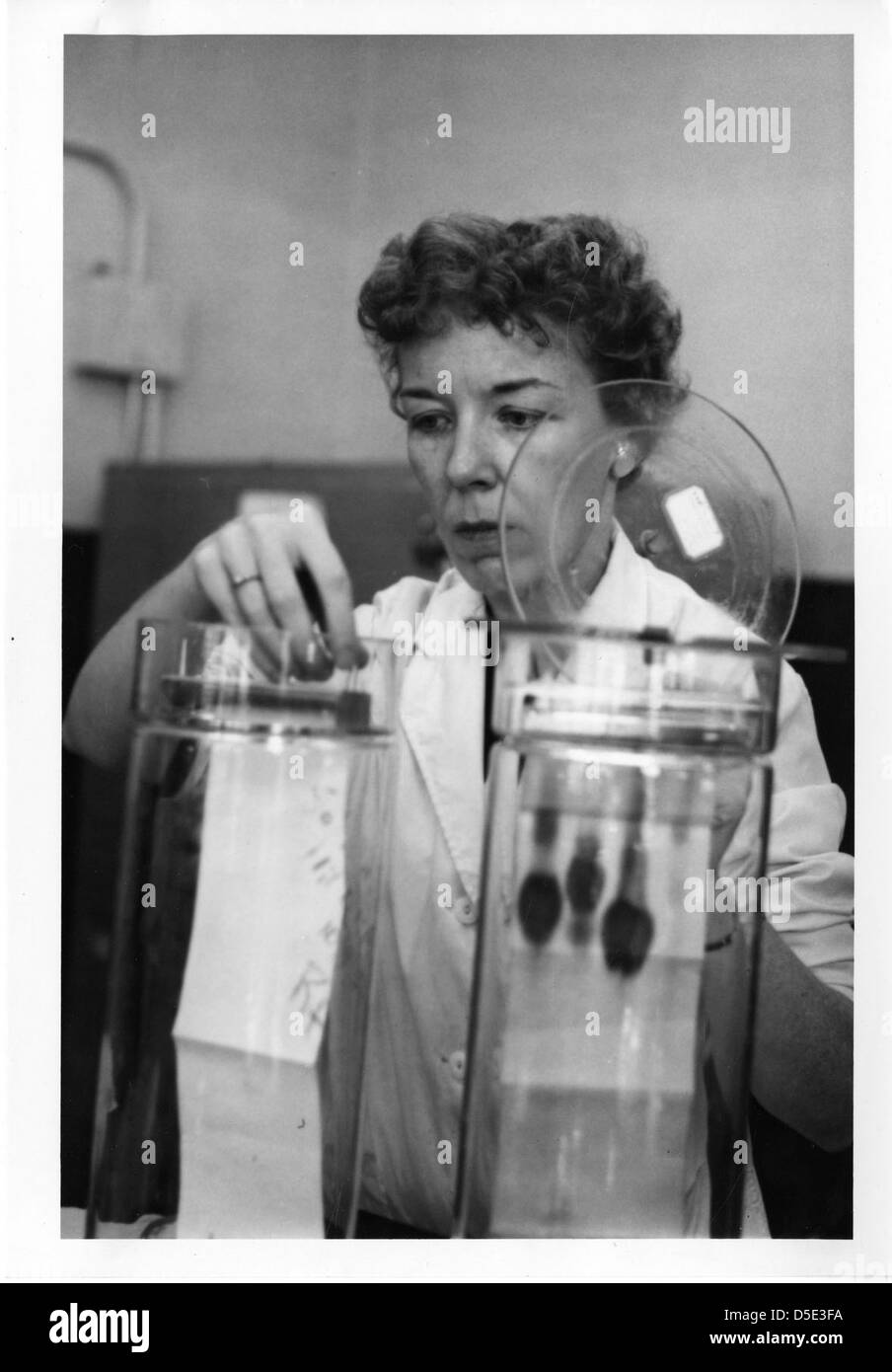 Mary Alice McWhinnie, une biologiste, est connue pour ses contributions à la science, en particulier dans l'étude du krill. Son travail en Antarctique et avec la Smithsonian institution a eu un impact significatif en biologie. Banque D'Images