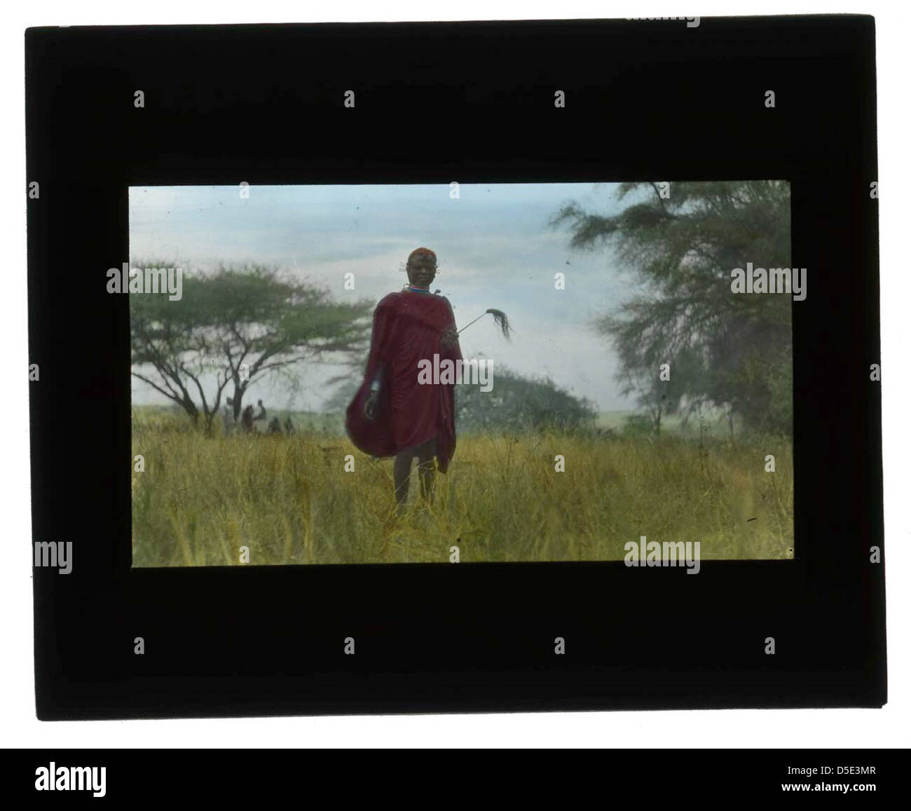 Portrait d'un homme Massaï d'Afrique, pris en 1909, mettant en valeur la tenue et les caractéristiques traditionnelles de ce groupe indigène d'Afrique de l'est. Banque D'Images