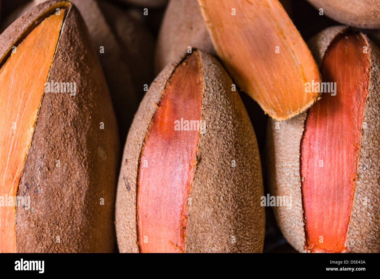 Vente de fruits au marché, Patzcuaro, Michoacan State, Mexico Banque D'Images