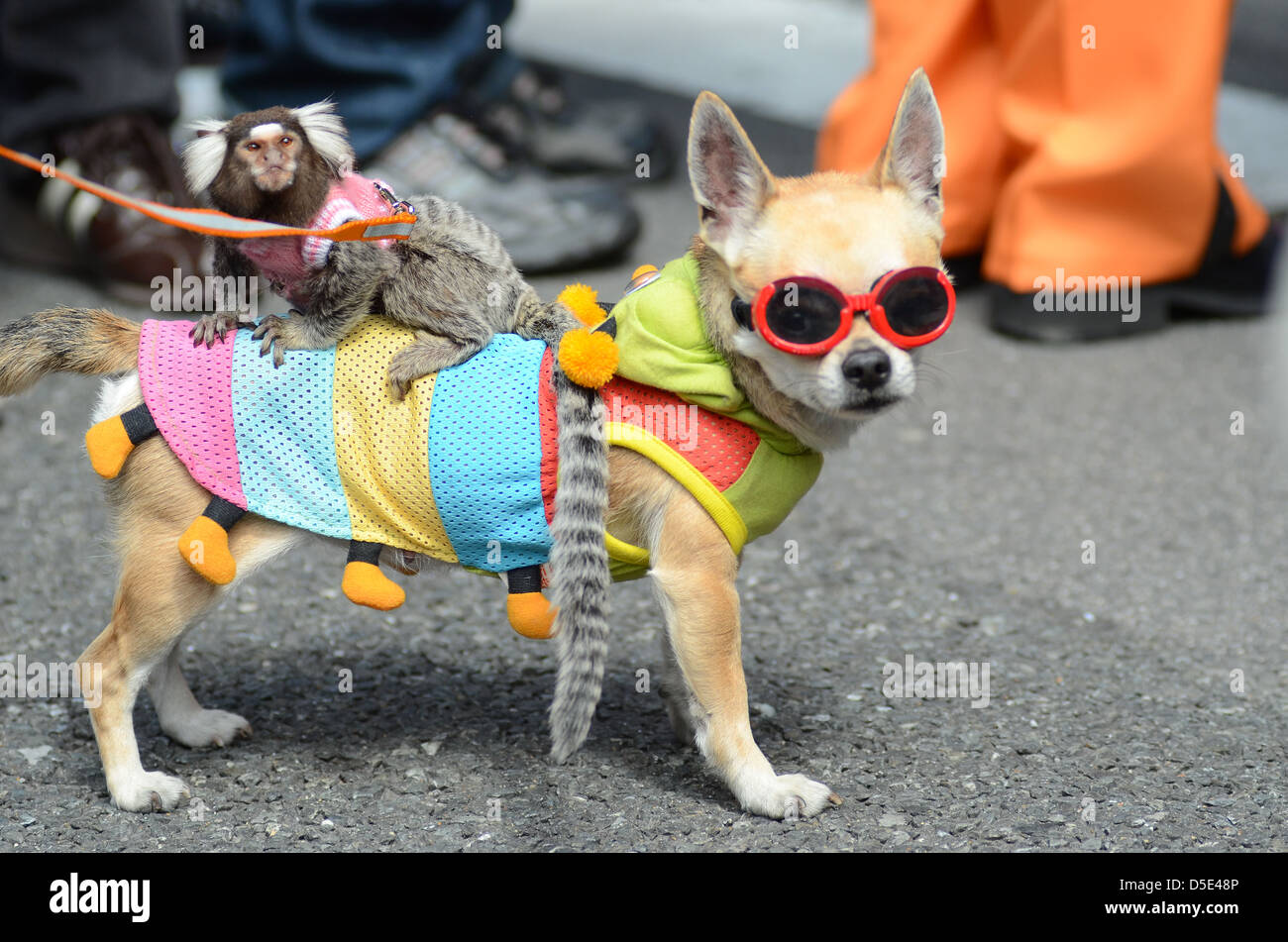 Les cosplayeurs à Osaka, Japon. Banque D'Images