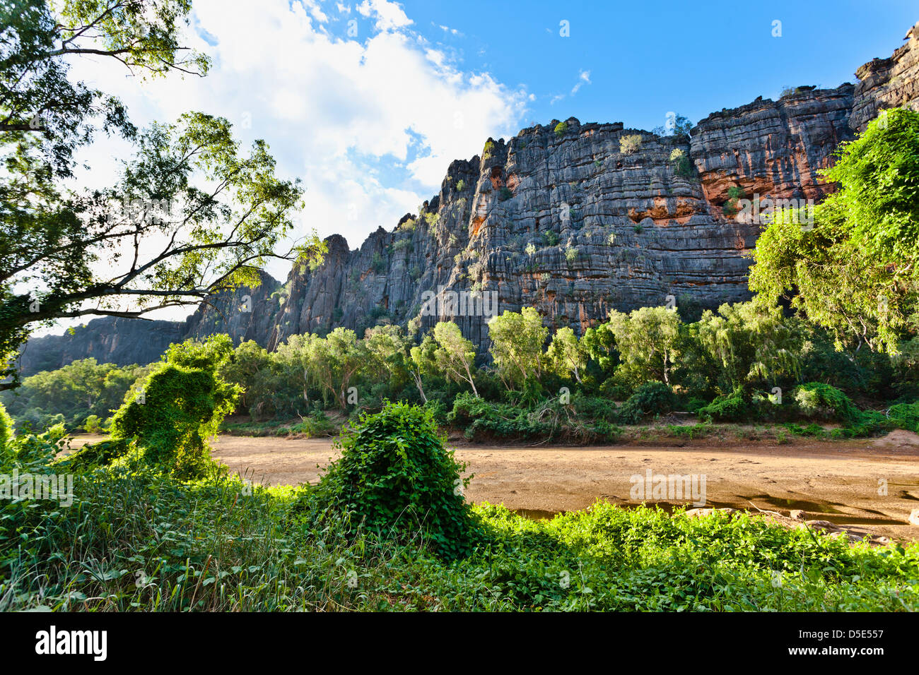 L'Australie, Australie occidentale, Kimberley, Windjana Gorge National Park, vue de 350 millions d'années récif dévonien Banque D'Images