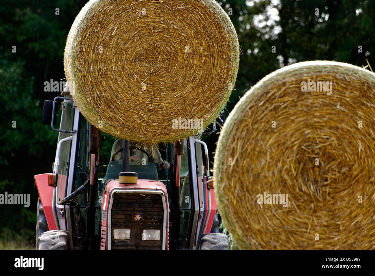 Agriculteur du levage d'une botte de paille avec tracteur, UK Photo