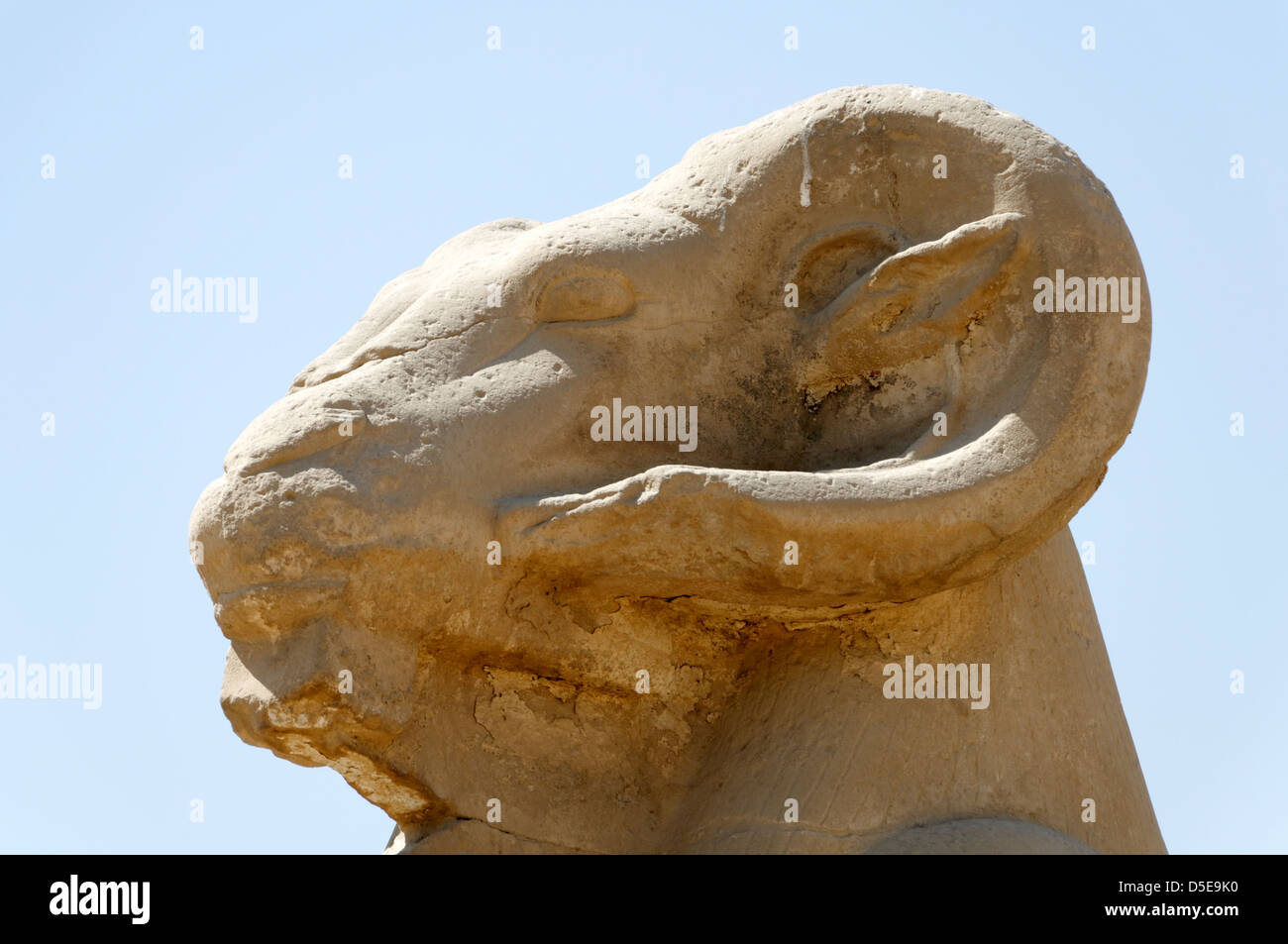 Sphinx à tête de bélier assis qui forment une avenue et conduire jusqu'à la premier pylône au Temple d'Amon de Karnak. L'Égypte. Banque D'Images