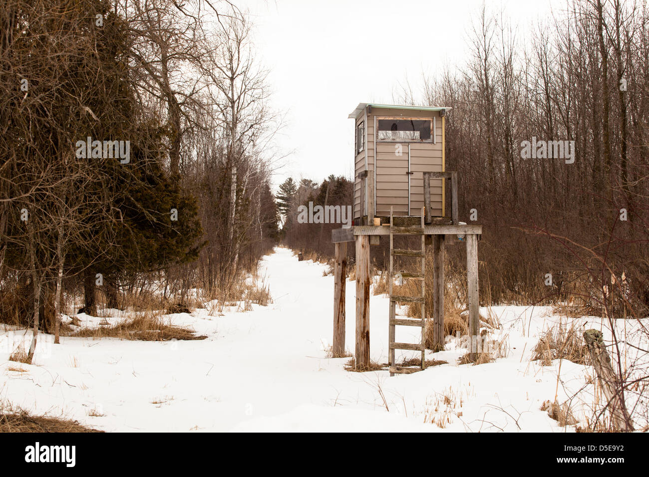 Wisconsin deer hunting tower aveugle. Banque D'Images