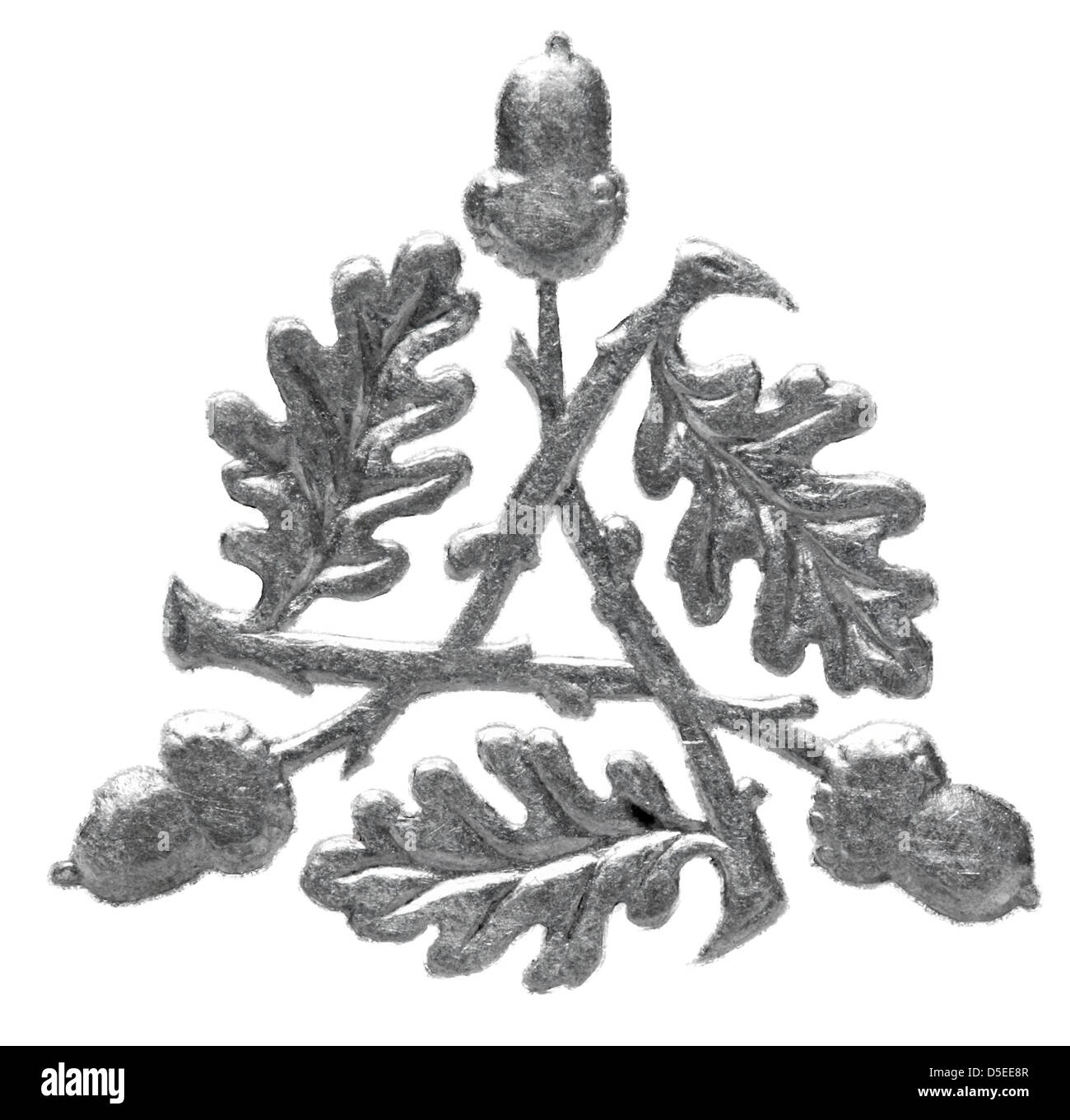 3 feuilles de chêne et de glands de 3 pence pièce d'argent, UK, 1931, sur fond blanc Banque D'Images
