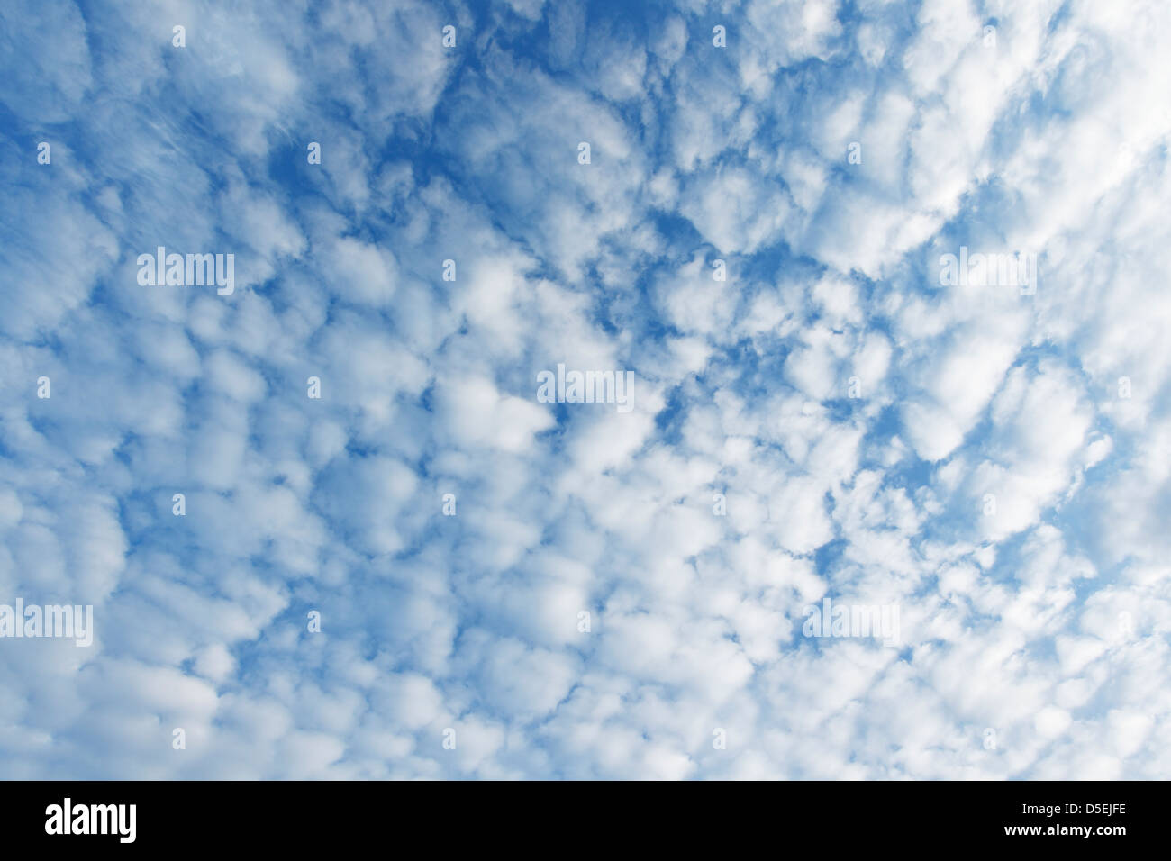 L'Altocumulus nuages de formes nuage blanc contre un ciel bleu Banque D'Images